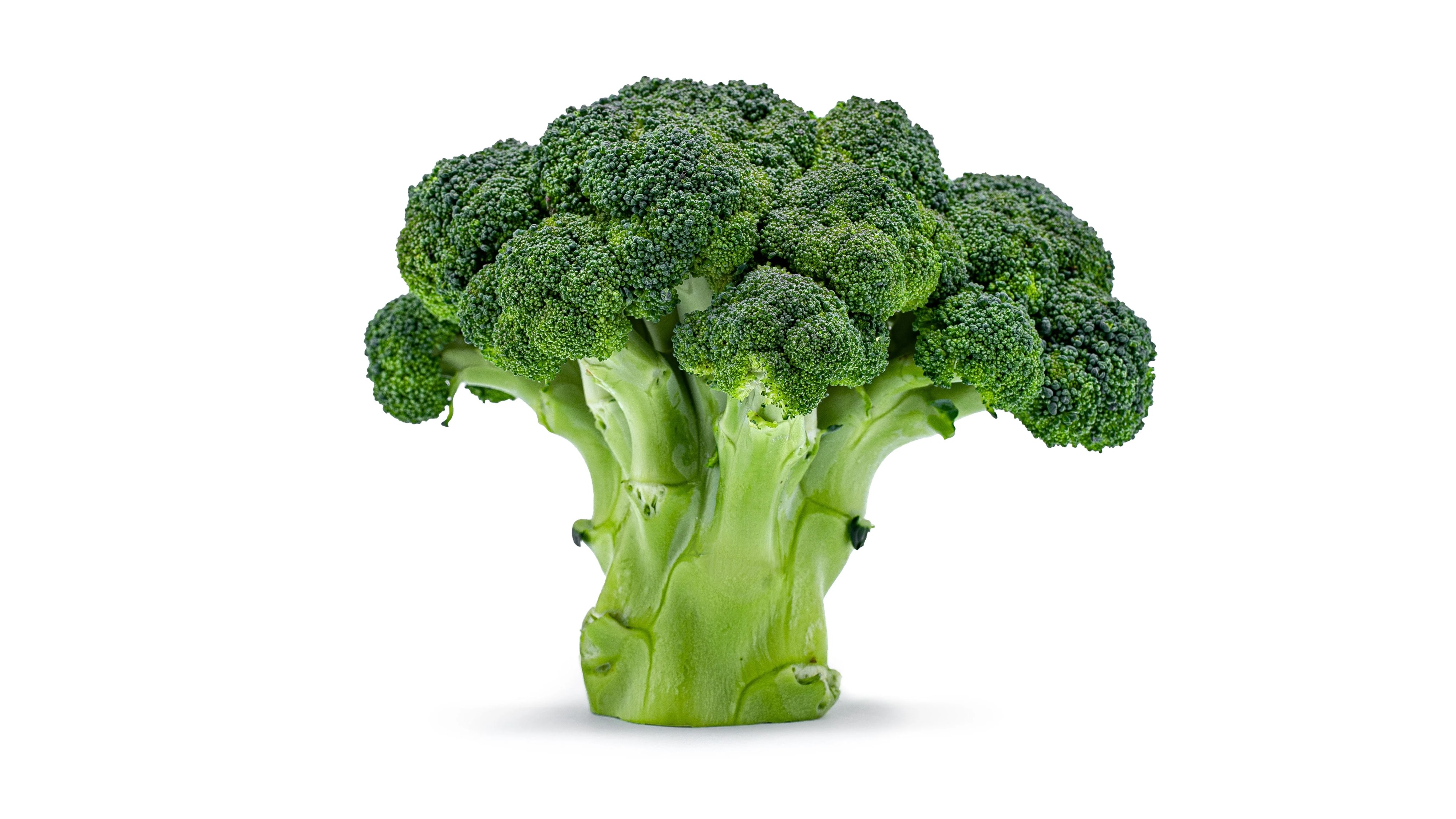 Brócoli