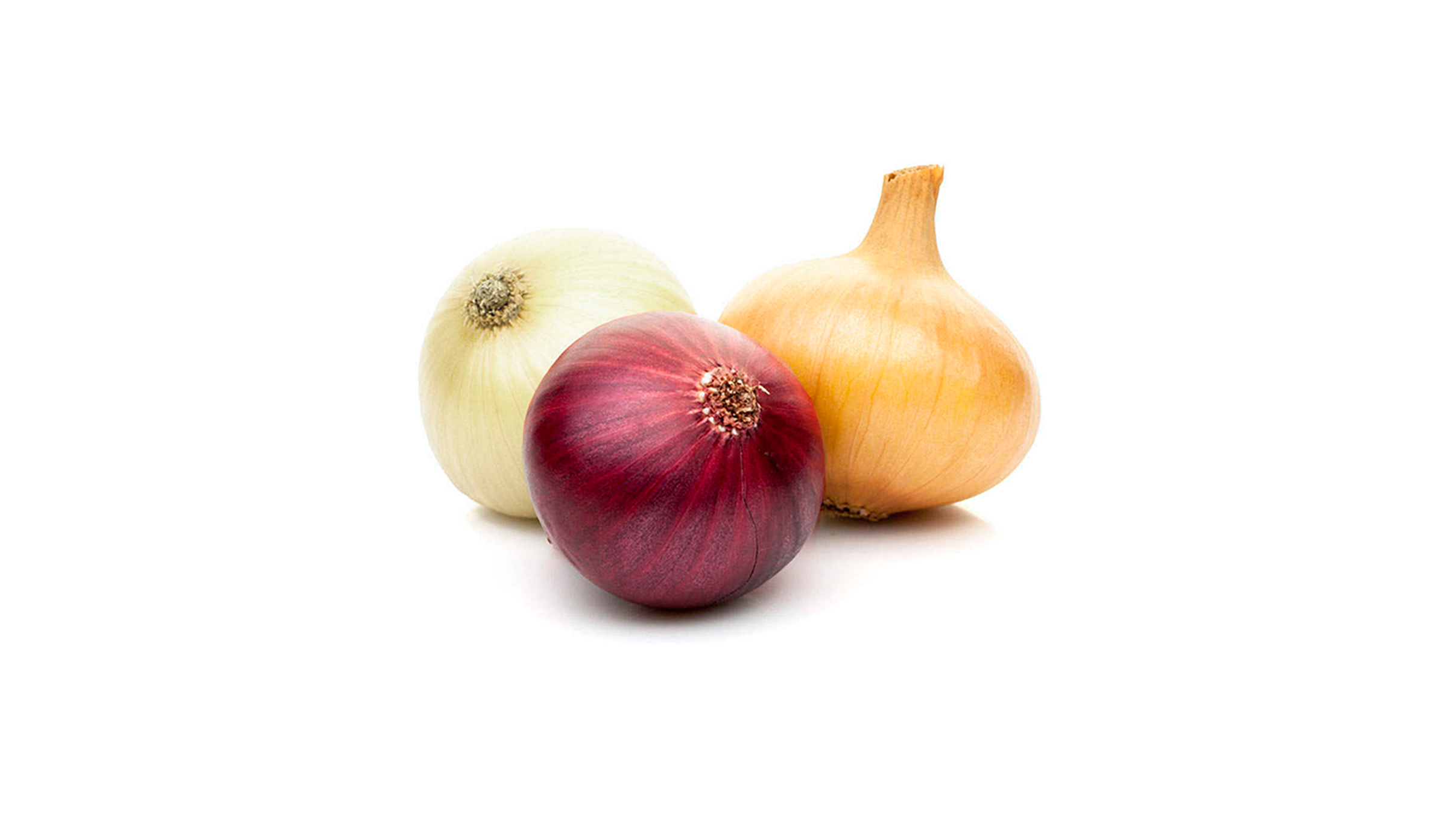 Cebollas