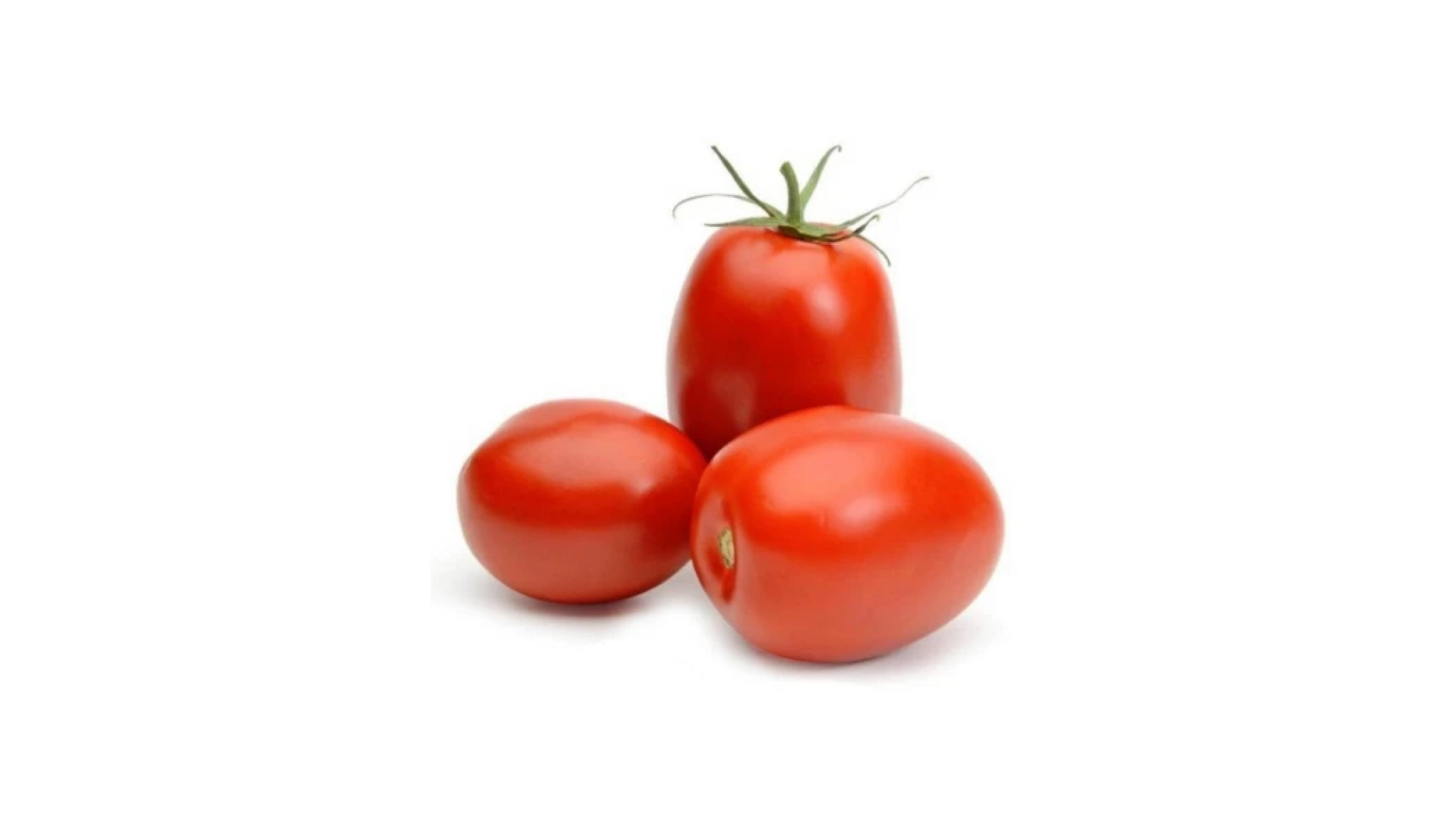 Tomates